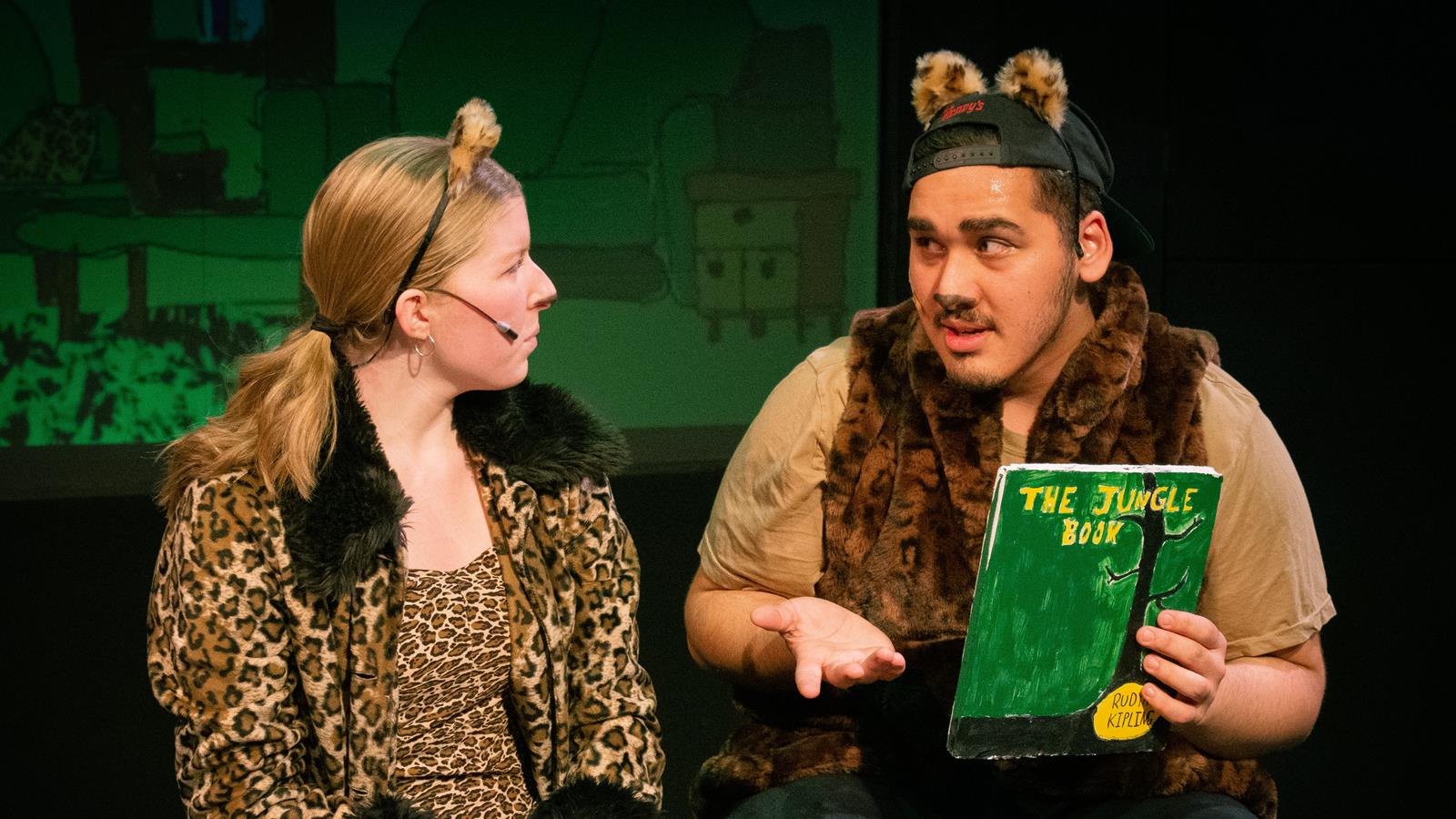 Mantua Theater Project