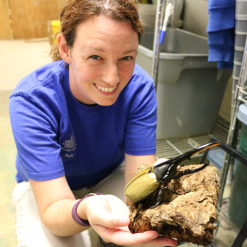 Randomized image related to Drexel University in 2020.