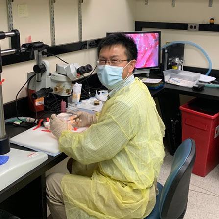 Randomized image related to Drexel University in 2020.