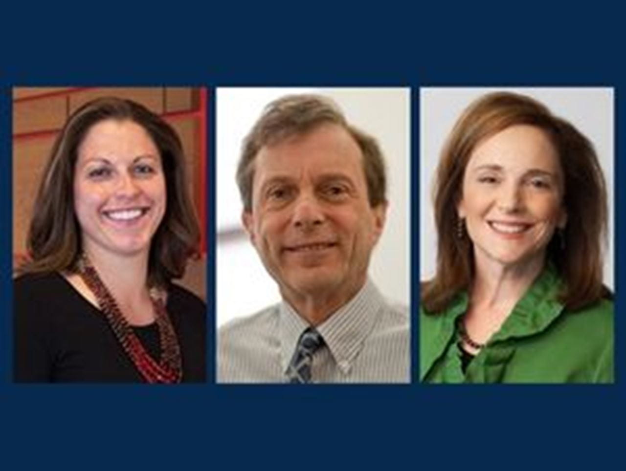 Lauren D'Innocenzo, PhD (left), Robert Field, JD, MPH, PhD (center), Rose Ann DiMaria-Ghalili, PhD, RN (right)