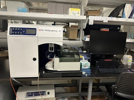 BD FACS Symphony A1 Flow Cytometer