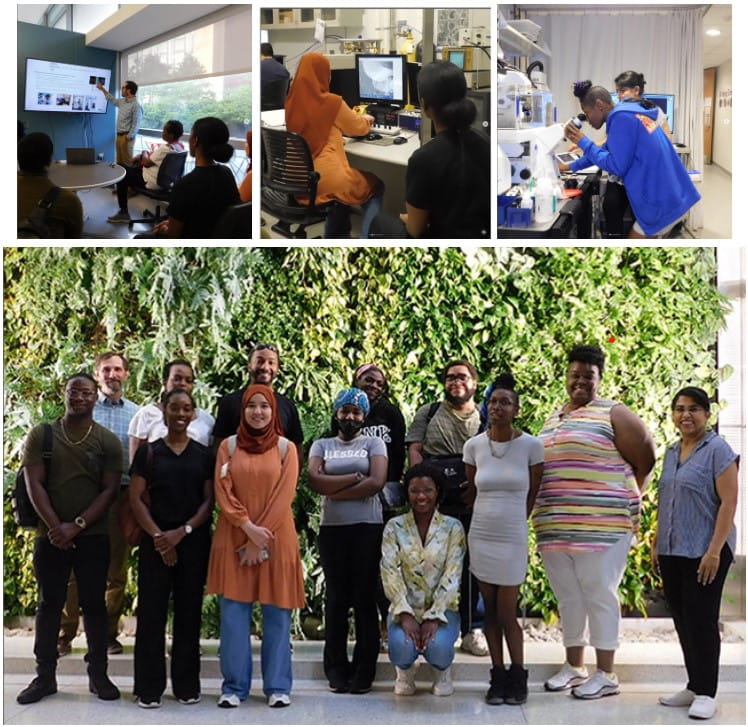 Cohort of BULB Program students posing together and using computers and microscopes