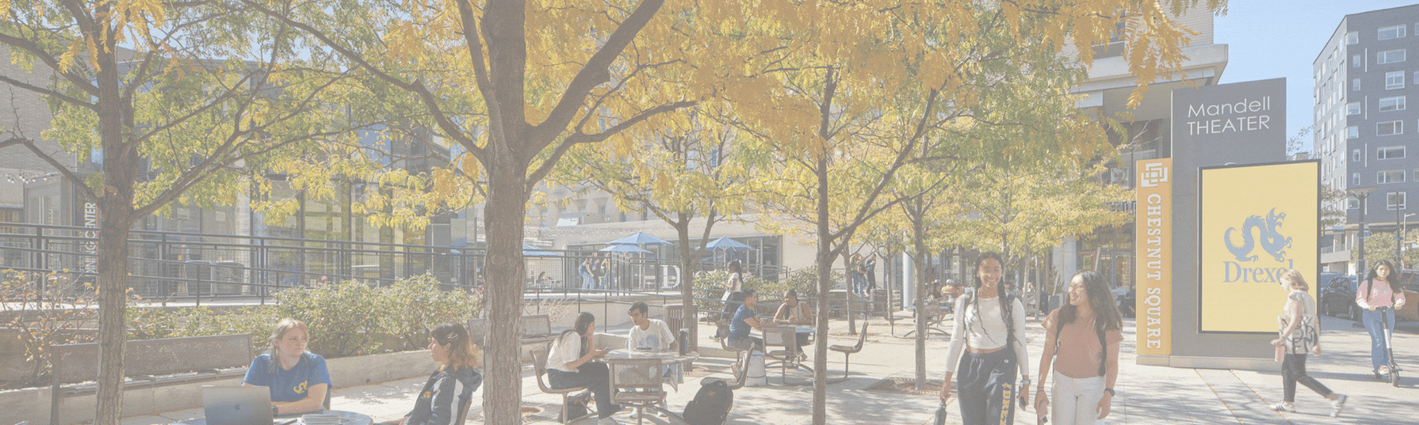 Autumn 2025 Newsletter