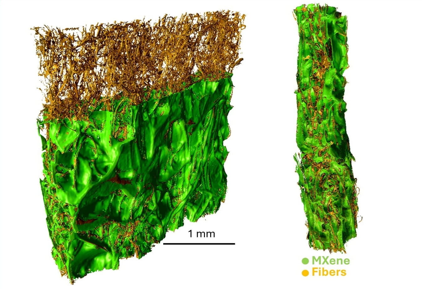 Computerized Tomography image showing a MXene-coated textile