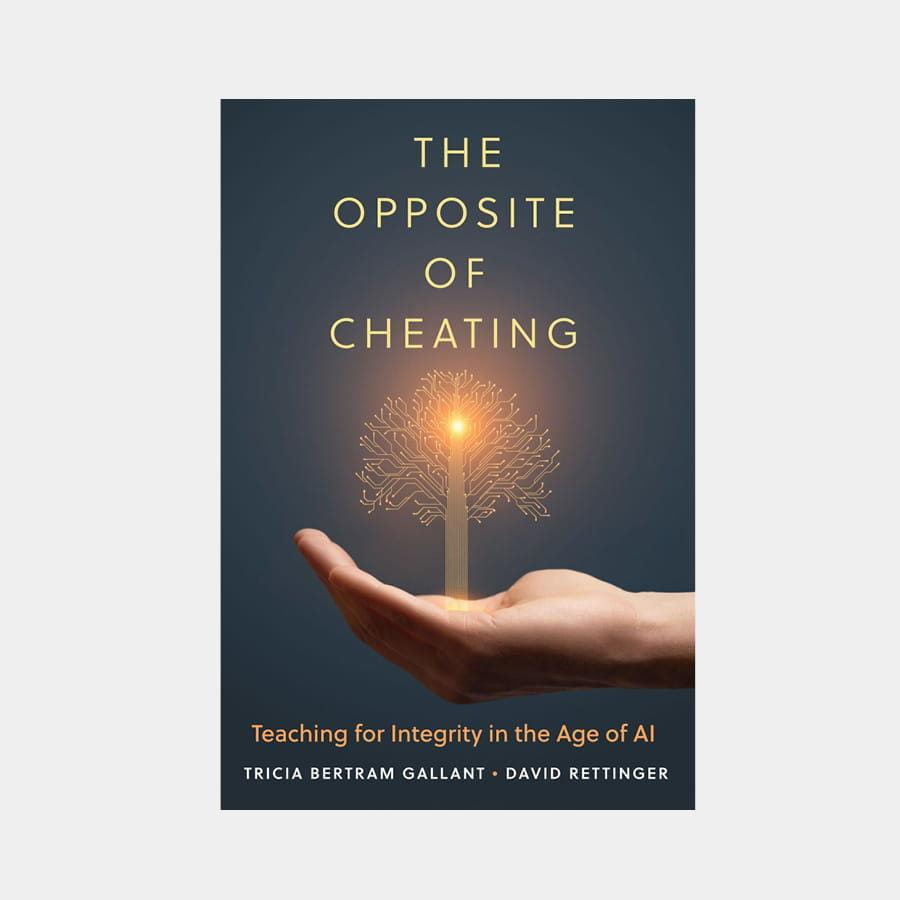 Book cover for the opposite of cheating