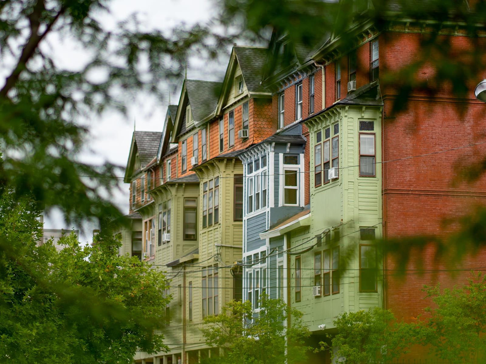 Image of rowhouses near Drexel campus covered by trees