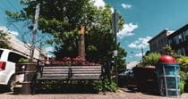 A park bench in a Philadelphia neighborhood