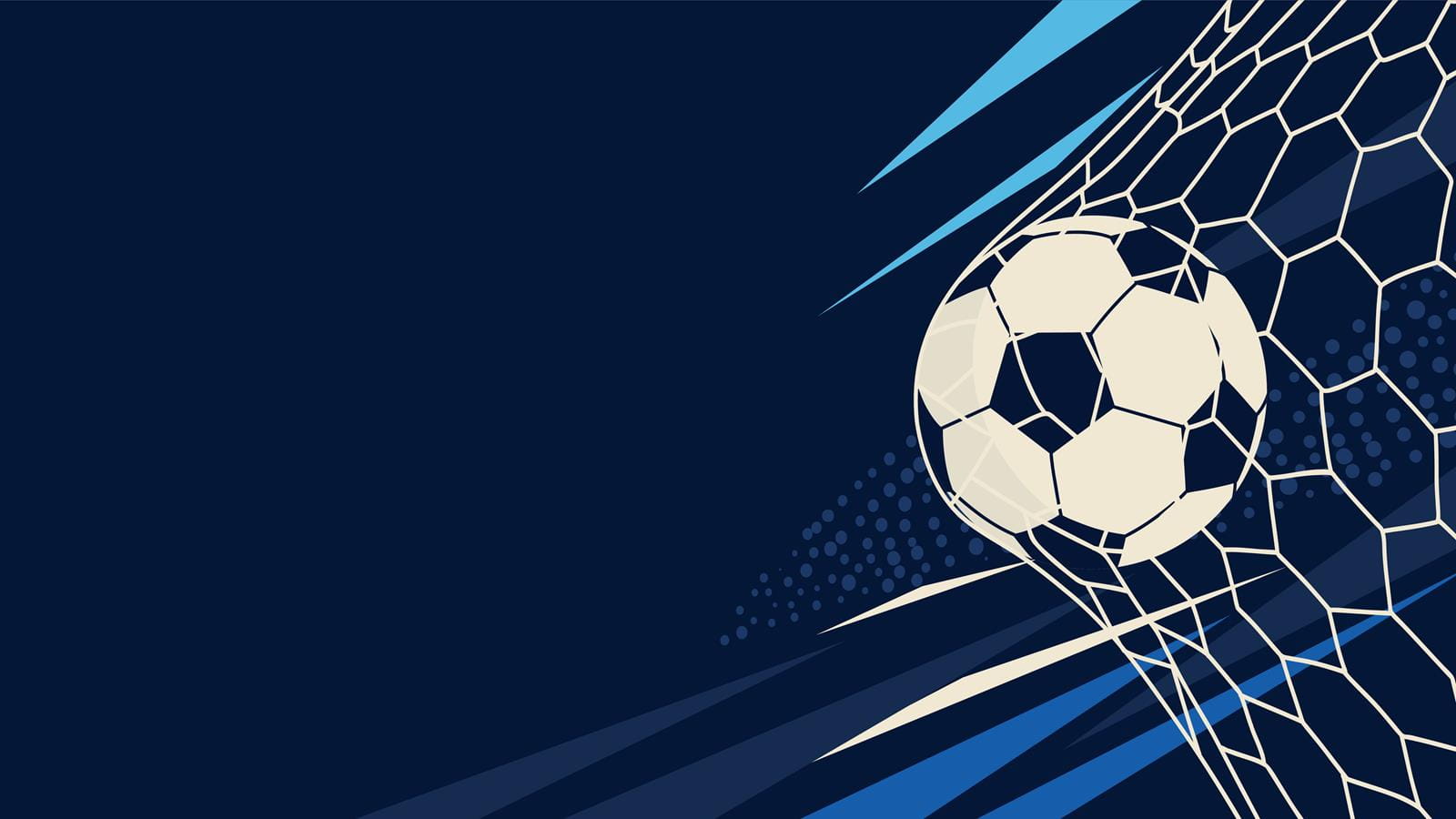 Soccer Ball in Goal