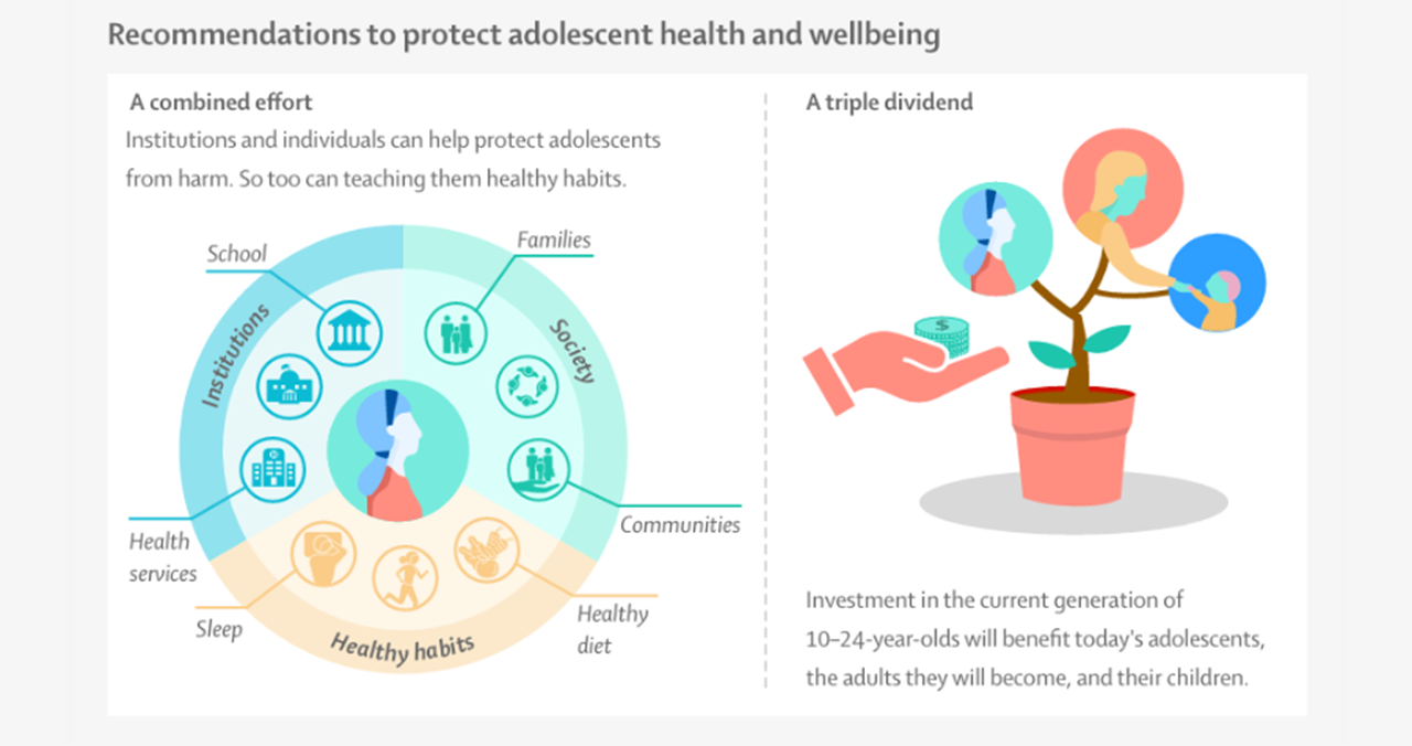 Lancet Commission Pie Chart