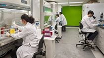 People in white lab coats looking into microscopes.