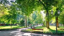 Image shows a park with a walk way, a bench and green trees 