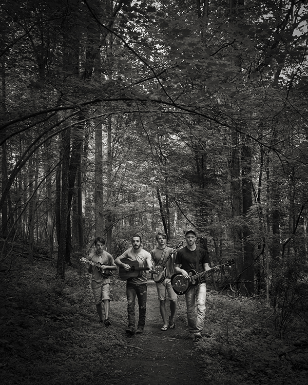 Dissertation proposal photography picture