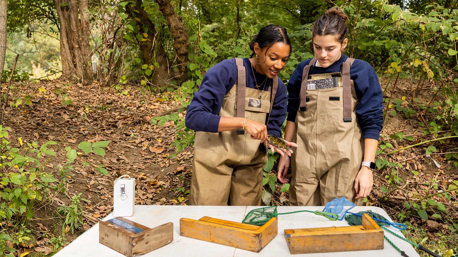 Drexel students conducting field research