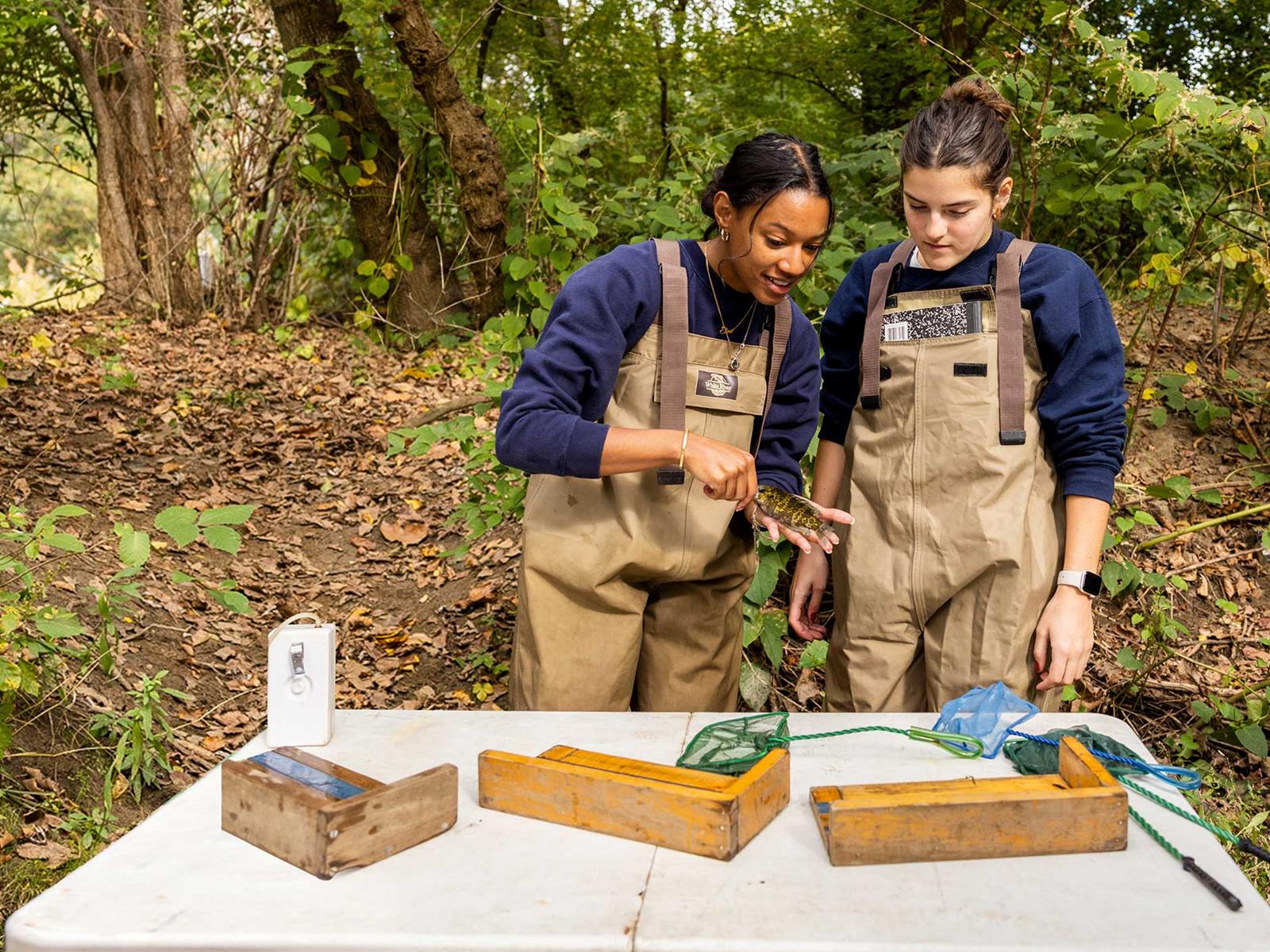 Drexel students conducting field research