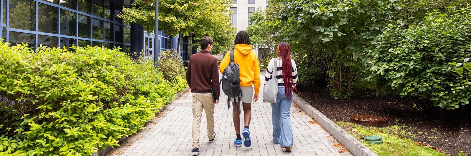 Chestnut Street in University City