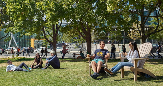 students relaxing in the quad