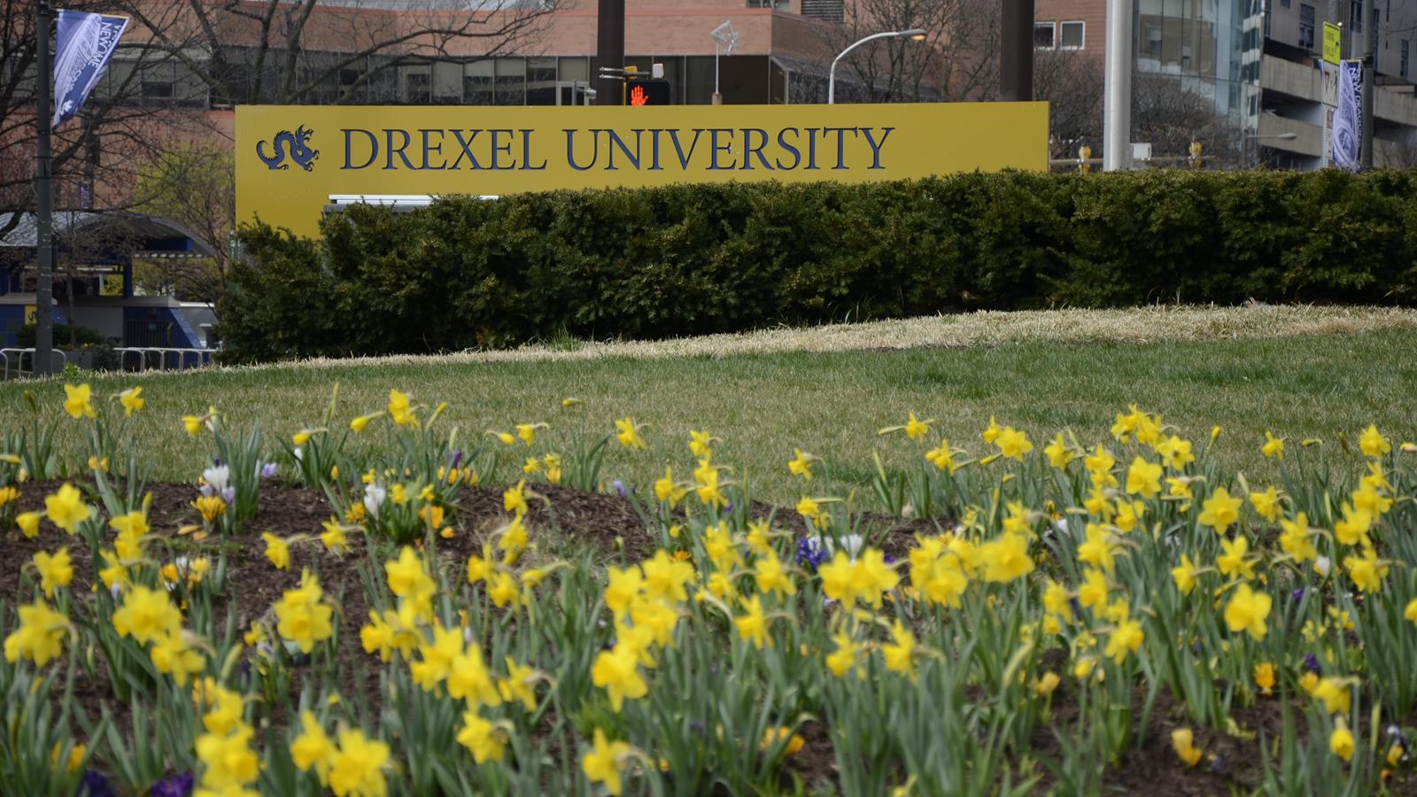 Drexel University sign with daffodils in front