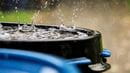 rain drop on barrel