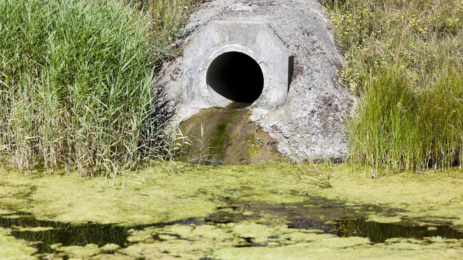 water pipe