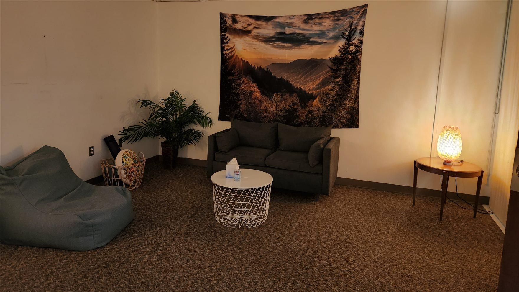 The Wellness Zone furnished with couches, tables, plants, a glowing salt lamp and a tapestry of a mountain scene.