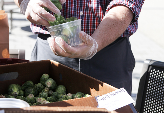person filling container with brussel sprouts