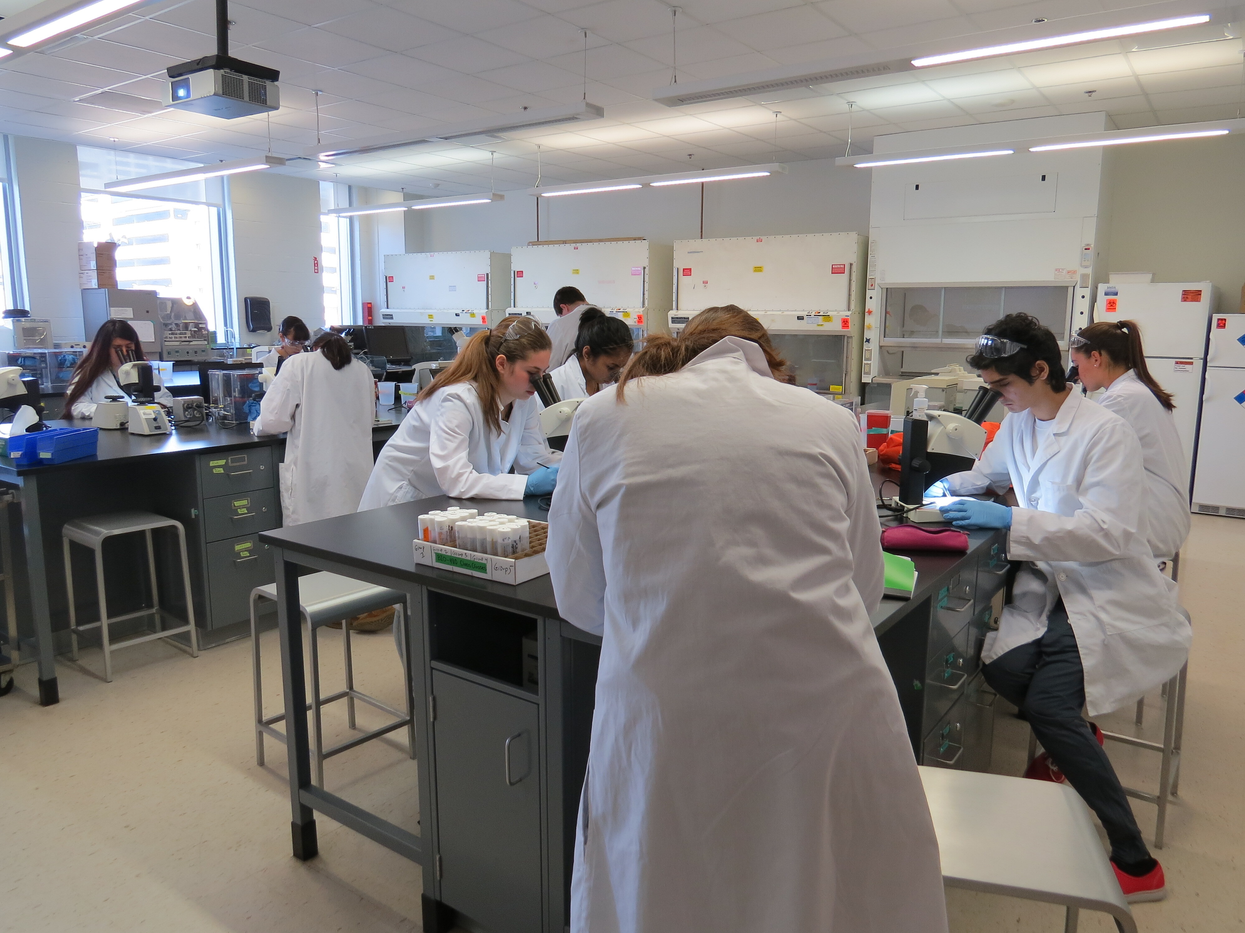 Teaching Topics | Center for the Advancement of STEM Teaching ...