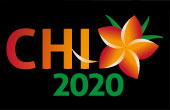 CHI2020 Logo
