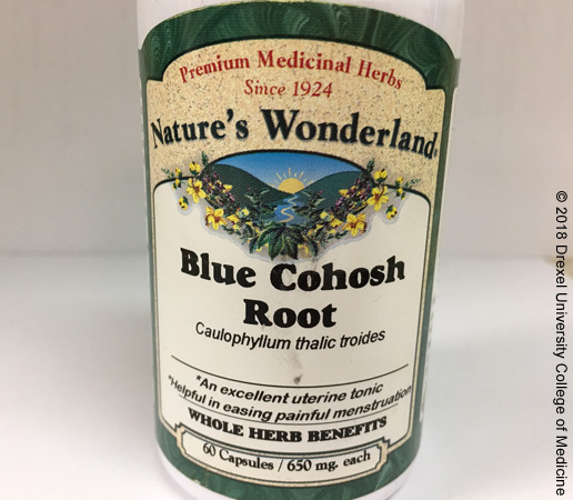 Drexel Toxicology Image Library - Blue Cohosh Root