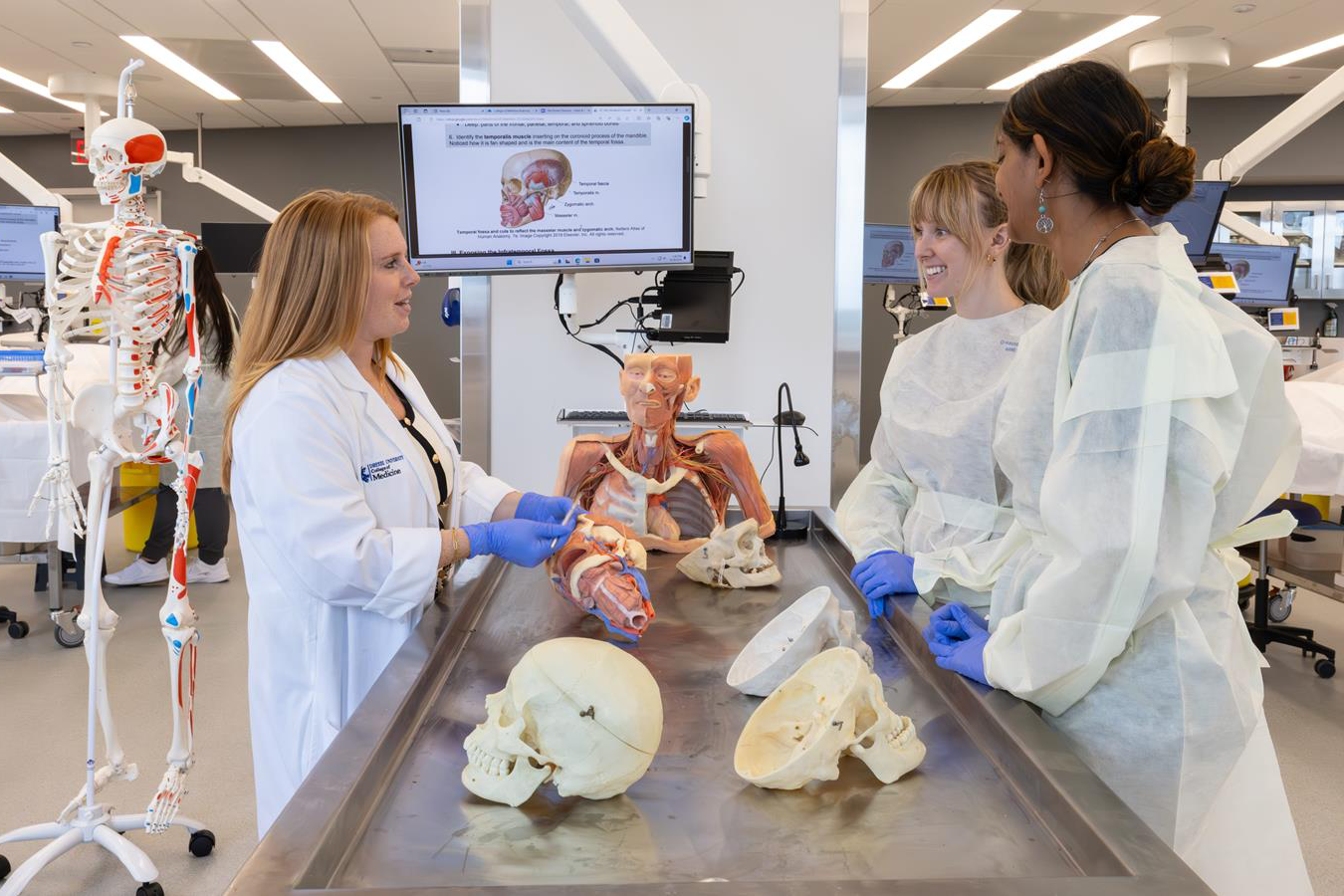 students in anatomy lab