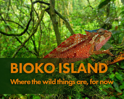 Drexel and UNGE at Bioko Island: A Viewbook