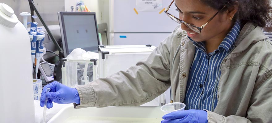 Drexel University offers a Master of Science (MS) and Doctoral (PhD) programs in Biological Sciences.