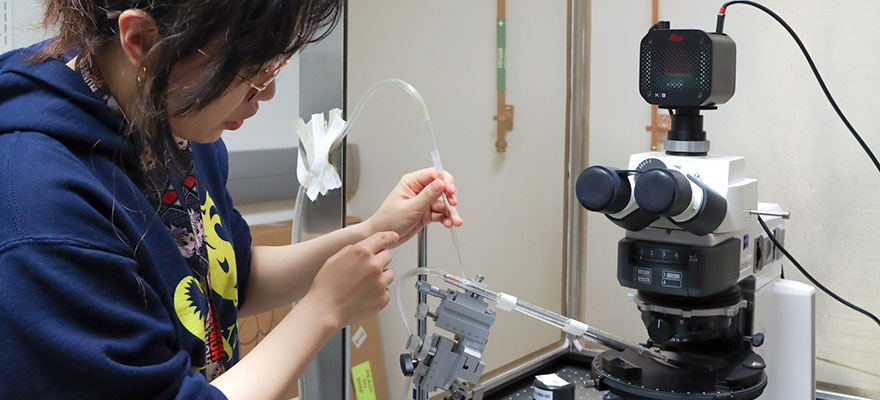 Drexel University offers a Master of Science (MS) and Doctoral (PhD) programs in Biological Sciences.