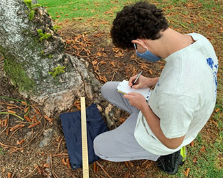 In 2020, a Drexel DESLA@Home student catalogs the botany of trees in his local neighborhood.