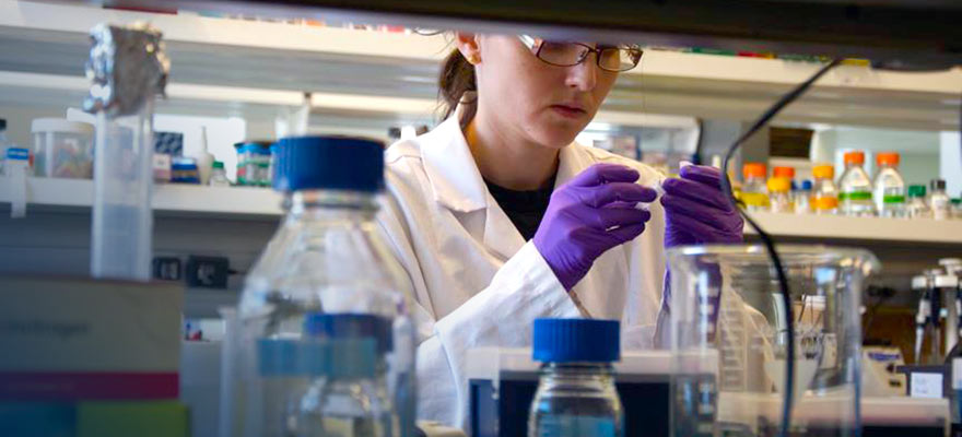 Drexel offers a BA and a BS in chemistry to meet students' unique interests and career goals.