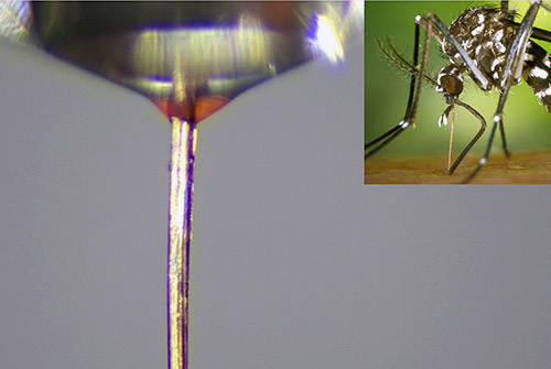 Drexel scientists contribute to research that repurposes dead mosquitoes as ultrafine 3D printer nozzles
