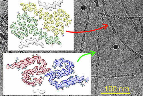 Journal of Molecular Biology