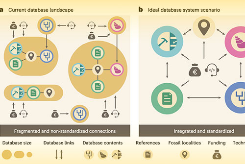 Drexel paleobiologist Jocelyn Sessauses the fossil record as a natural laboratory to study times of change in earth’s history.
