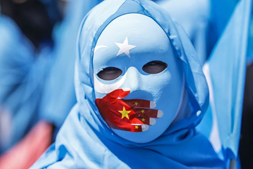 Drexel Global Languages Professor Rebecca Clothey is the co-author of 