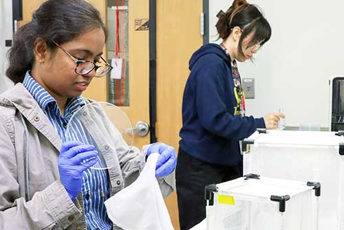 Drexel biology doctoral students Maithili Sawant and Huiruo Zeng pioneer new mosquito control methods