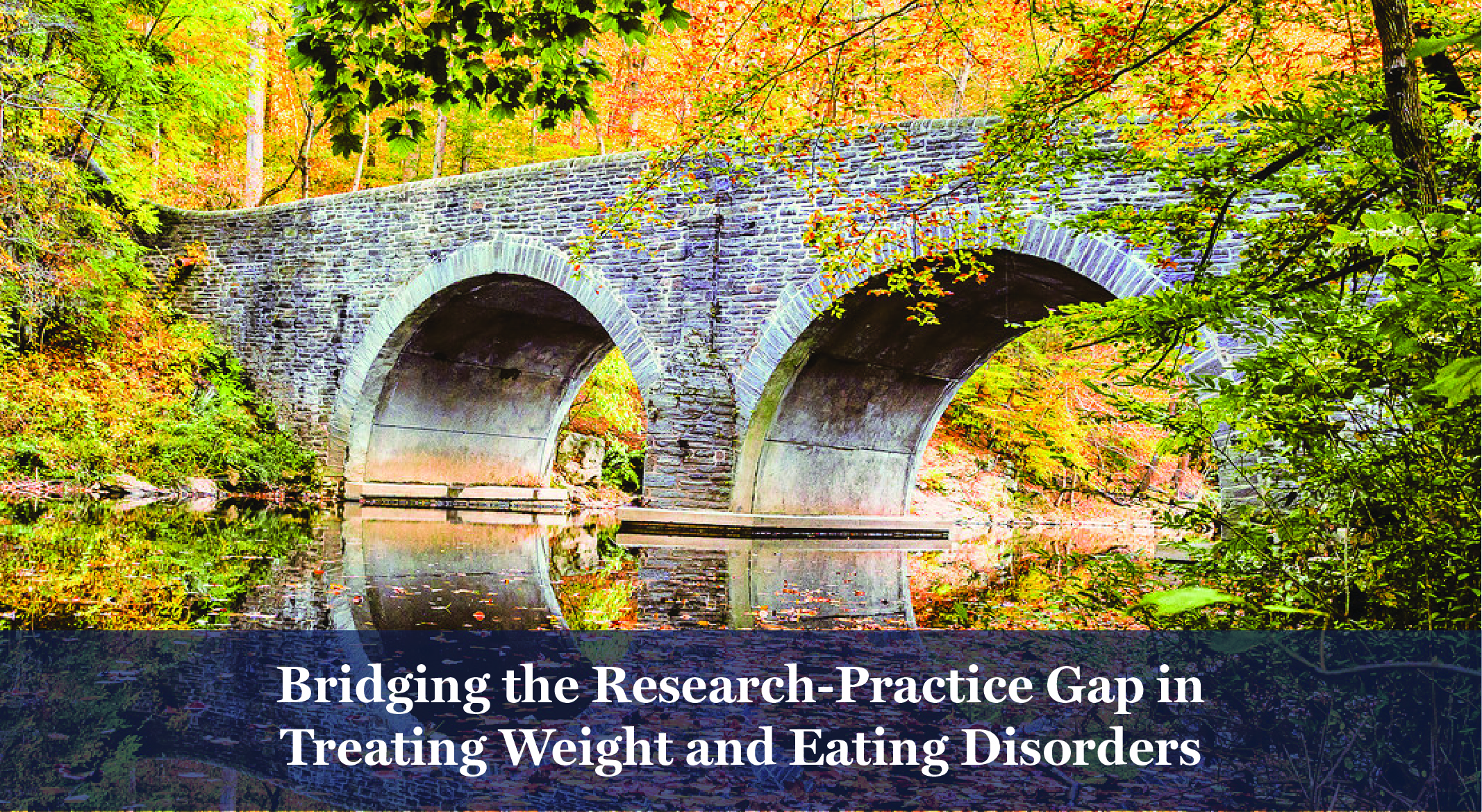 Bridging the Research-Practice Gap in Treating Weight and Eating Disorders