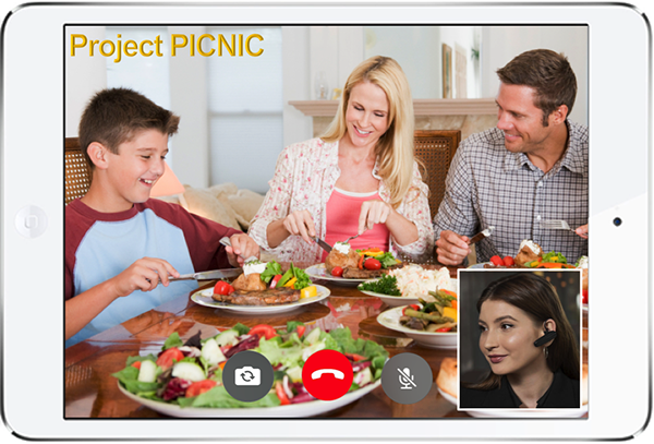 Project Picnic at the Well Center