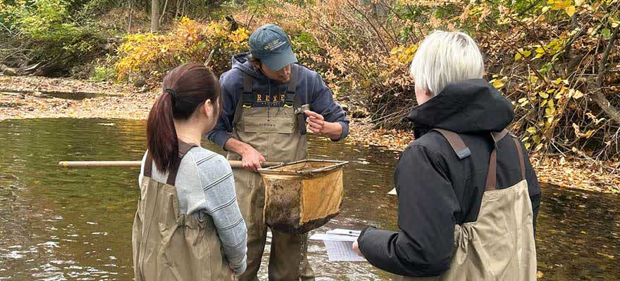 Drexel BEES students collect specimens in the field