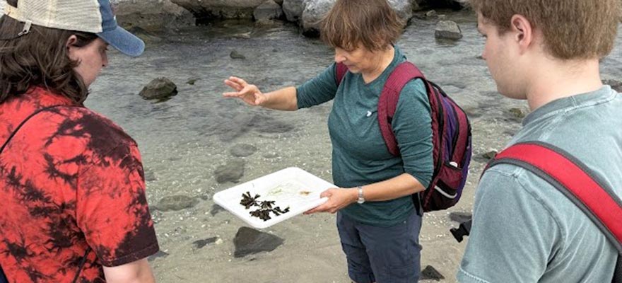 Drexel's Marina Potapova is an expert in the ecology and taxonomy of algae, especially diatoms