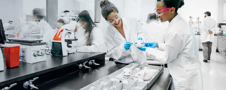 Research in Drexel's Department of Biology spans the hierarchy of biological organization, from molecules to organelles and cells; tissues to organs and organ systems; and from organisms to populations and communities.