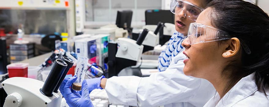 Drexel biology majors gain autonomy and build skills through hands-on experiential learning opportunities.