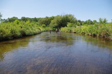 The Academy of Natural Sciences' watershed field crew heads downstream after collecting algae samples from the Upper Paulins Kill River in the New Jersey Highlands. Photo by Tess Hooper