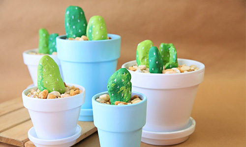 Rock Cactus DIY Gift Idea for Geoscience Major