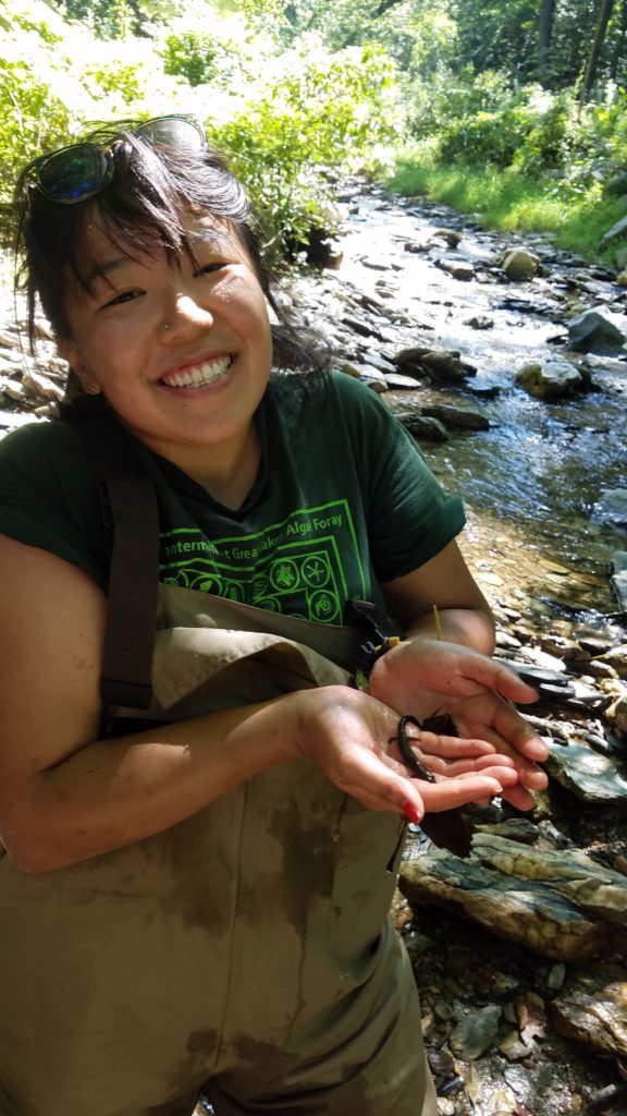 Amanda Chan is a staff scientist and field team leader in the Patrick Center for Environmental Research