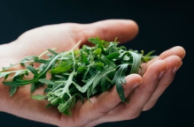 a hand holding some green herbs