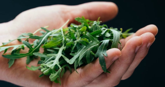 a hand holding some green herbs